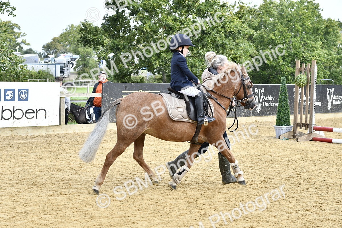 SBM_57192 - J61 - Mini Clear Round 30cm & 40cm