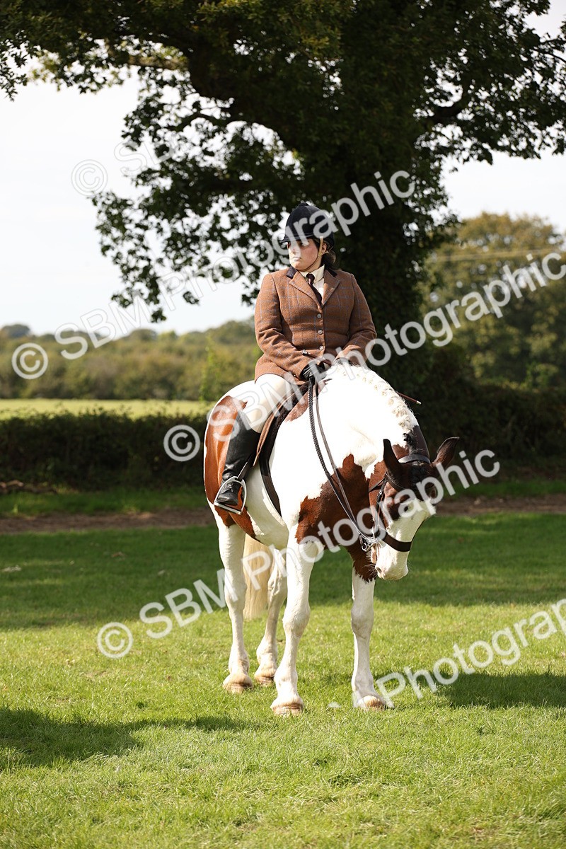SBM_70102 - S65 - Piebald & Skewbald Horse Ridden