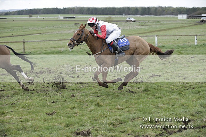 PtP 150320 0881 - New Forest Point-to-Point Larkhill 15/03/20