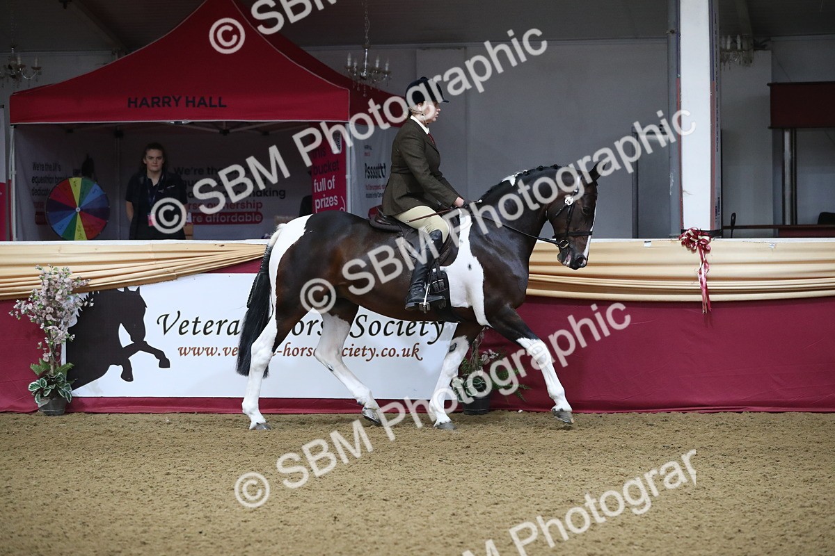 SBM_10312 - Class 102 Equitation (best rider) Adult
