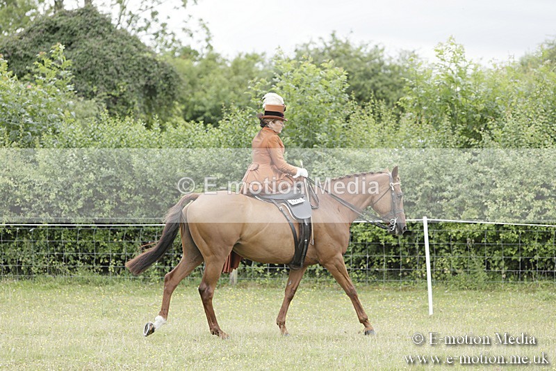 BVR160717-2417 - Side Saddle Classes 16/07/17