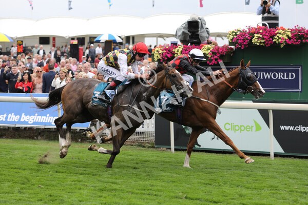 yr18082022r3-27 - Race 3 3.00pm Clipper Logistics Stakes