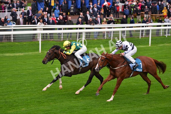 yr07102022r1-19 - Race 1 2.05pm Parsonage Hotel and Cloisters Spa Stakes