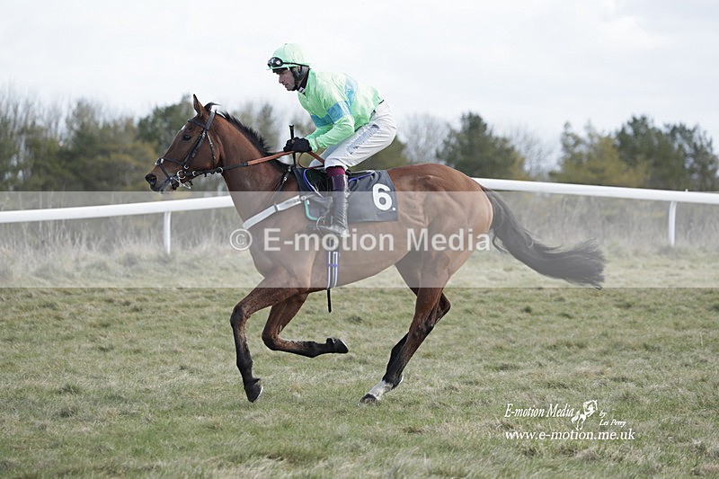 PtP 260223 565 - South & West Wilts Point-to-Point Larkhill 26/02/23