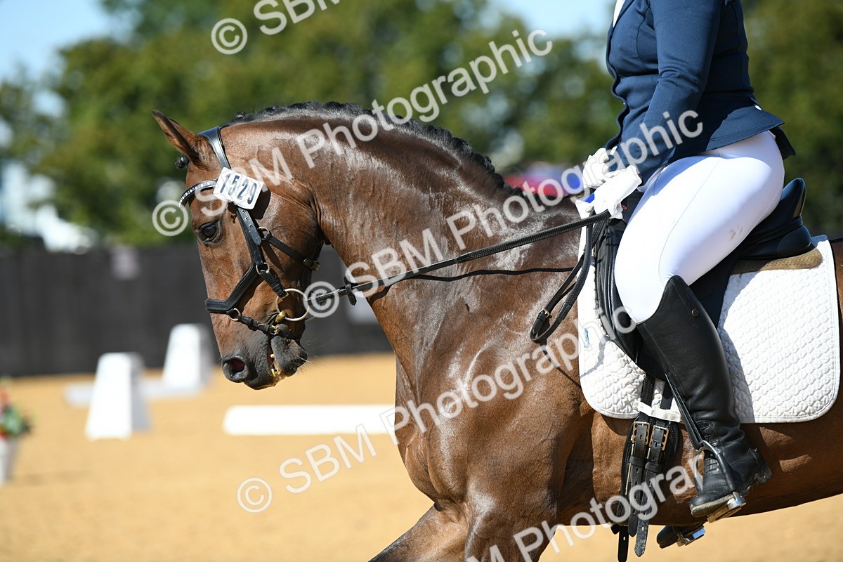 SBM_22875 - D13 - Grand Tour Championship - Prelim 12