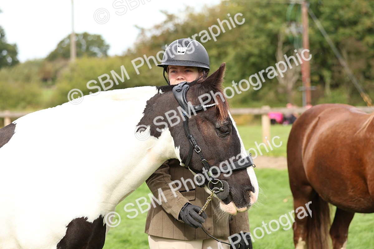 SBM_39361 - S24 - Young Veteran In Hand