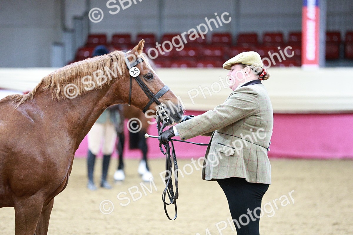 SBM_00299 - Class 1A - Area IH Diamond