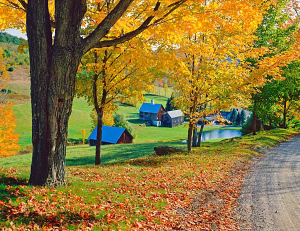 Istock #17543965 - New England Images