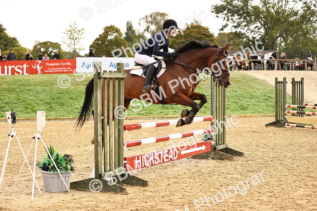 SBM_58190 - J41 - Grand Tour Horse & Pony 95cm