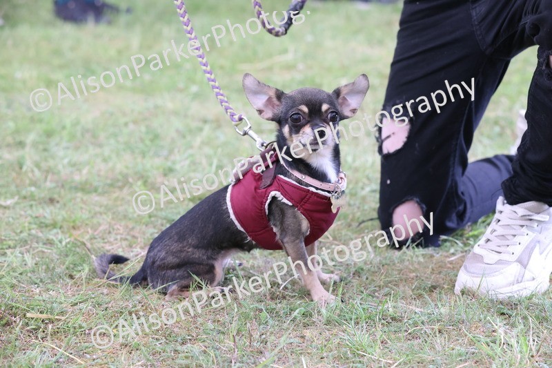 20250607-0214 - Class 4 - Little and Large