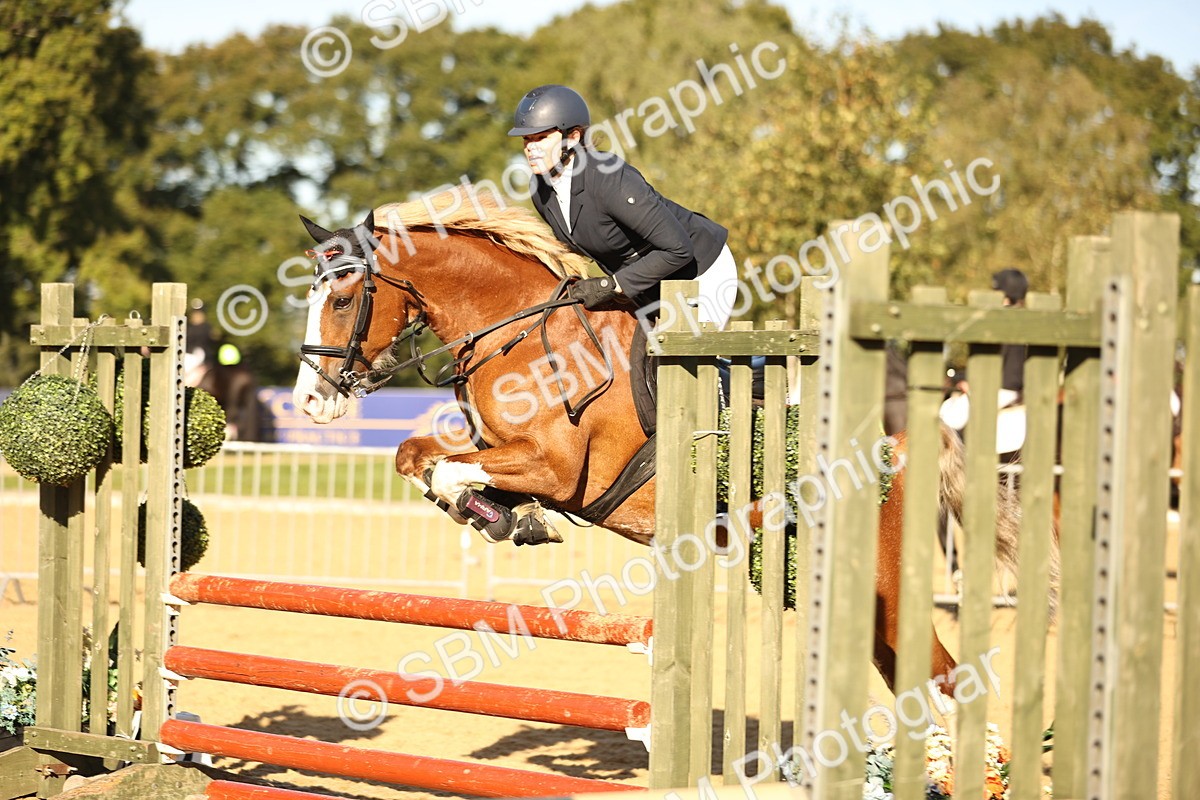 SBM_34748 - J38 - Senior 80cm Championship