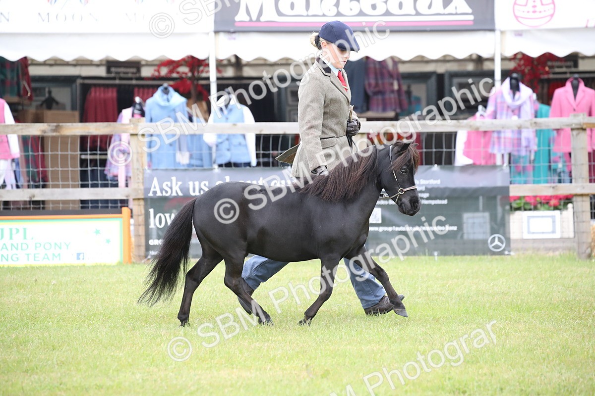 SBM_03891 - Class 23-25 - British Miniature Horse of the Year