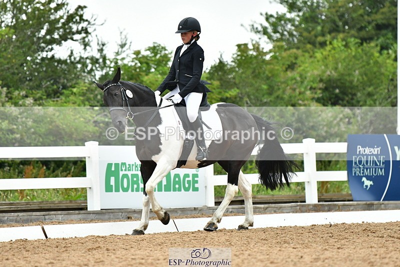 230708A-120014-02681 - Prelim 13