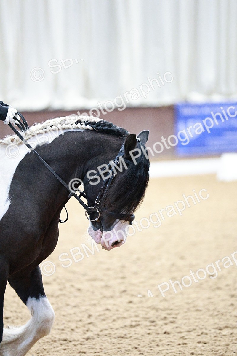 SBM_004117 - Class 13-19 - Novice FSM-INT 1 - 9.00-9.54