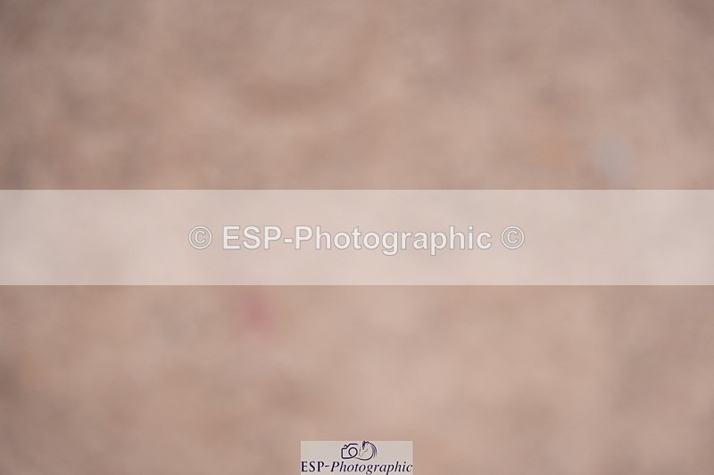 240802A-125632-04497 - Cls 17 Grade C Champs