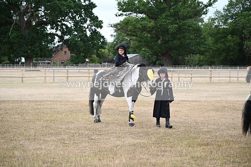 WJ6_8733 - Class 11 Fancy Dress
