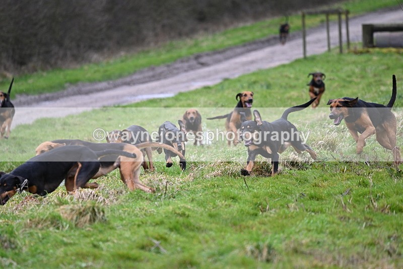 WJ6_8195 - Cam B