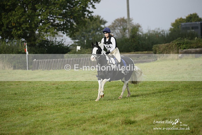  WWHT 171021 0734 - Open Novice (0.80m)  17/10/21