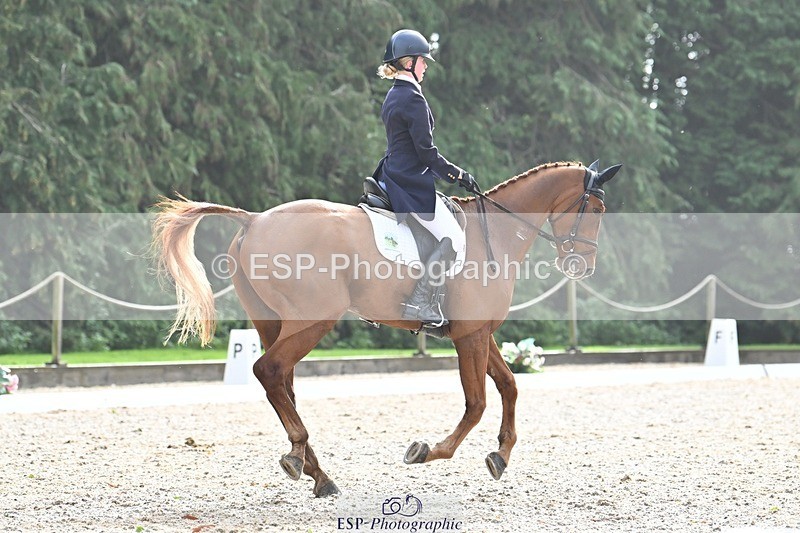 231019-122346-03097 - 113-RIVERSTOWN.ROYAL-Georgie.Frow-DR