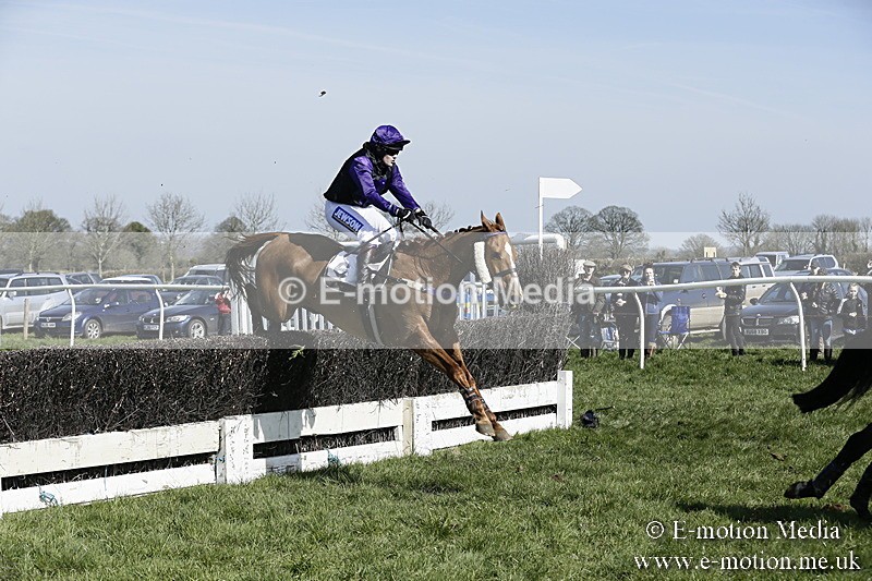 PtP 260317 85 - Mendip Farmers Point-to-Point Ston Easton 26/03/17