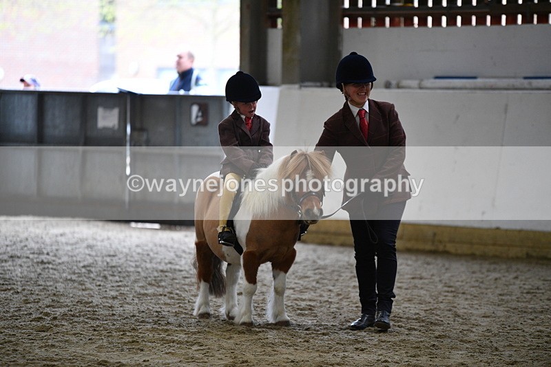 WJ5_6798 - Class 10 Childs Pony