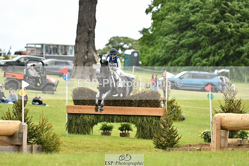 250525A-121611-16628 - D-409-Kirsty.Chabert-HERALDIKS.GIRL.OPPOSITION