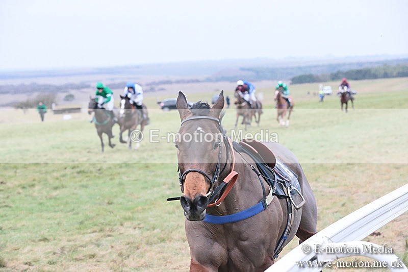 PtP 060119 367 - Larkhill Racing Club - Point-to-Point- 06/01/2019