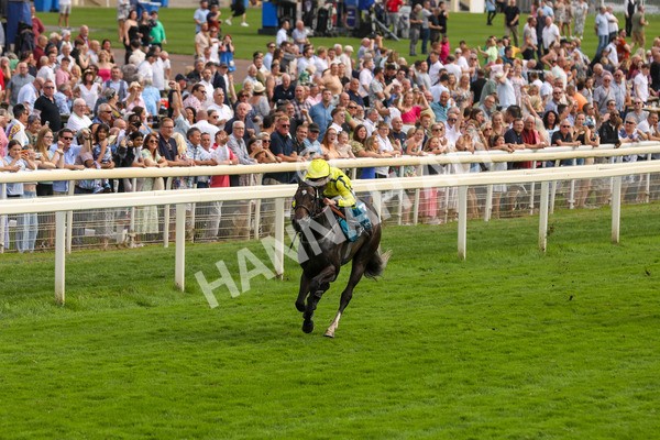 100923-Race 4-Tropical Island-3901 - Race 4 3.15pm Edge Windows Nursery Handicap at York