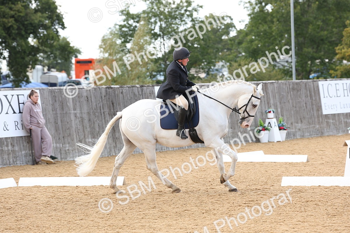 SBM_28289 - D20 - Grand Tour Championship Elementary 3