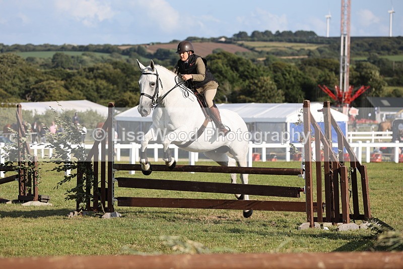 JPP_3346 - Class 22: Working Hunter 90cm