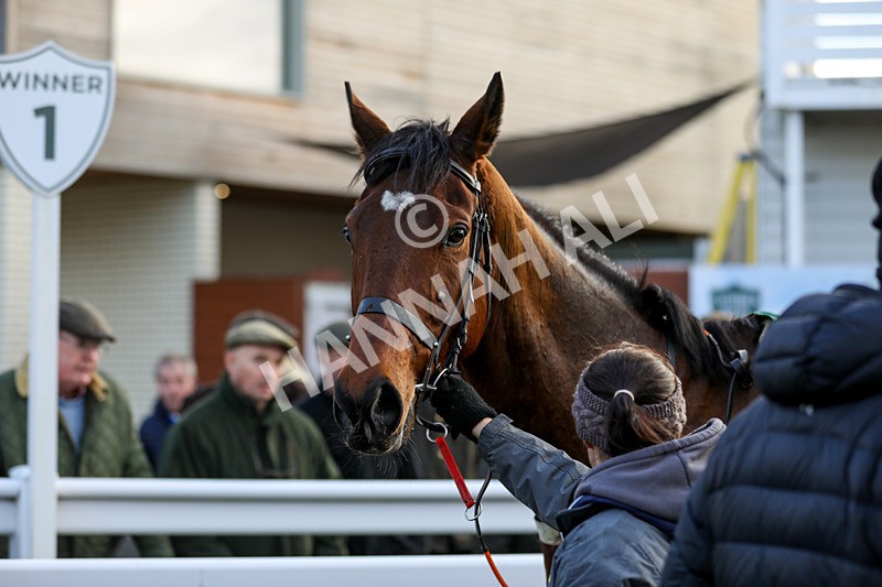 191223-Race 4-Rich Spirit-2609 - Race 4