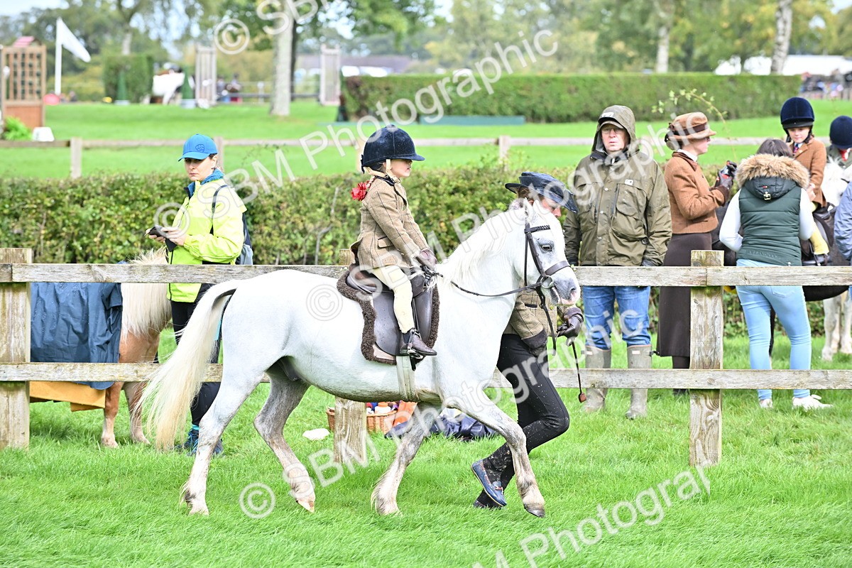 SBM_40135 - S20 - Lead Rein Mountain & Moorland Pony