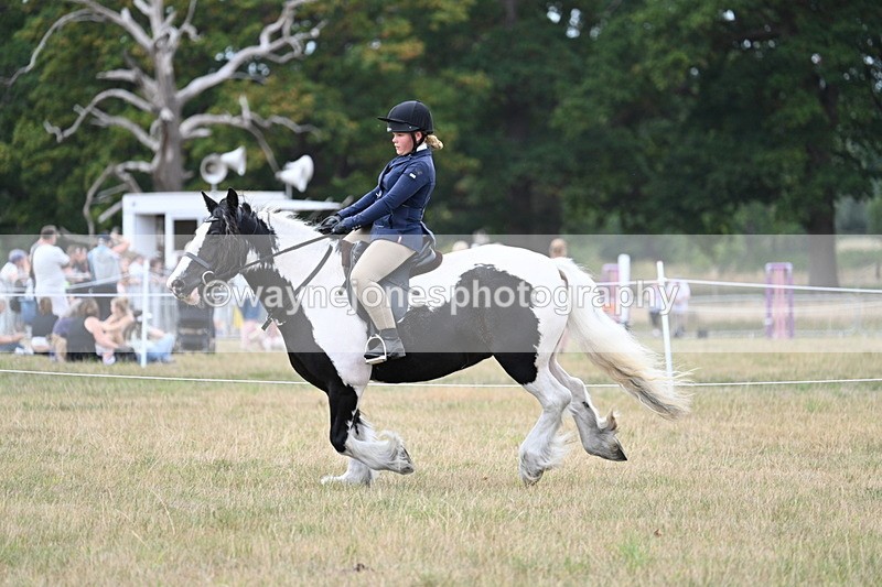 WJ7_5126 - Class 12 Ridden Cob