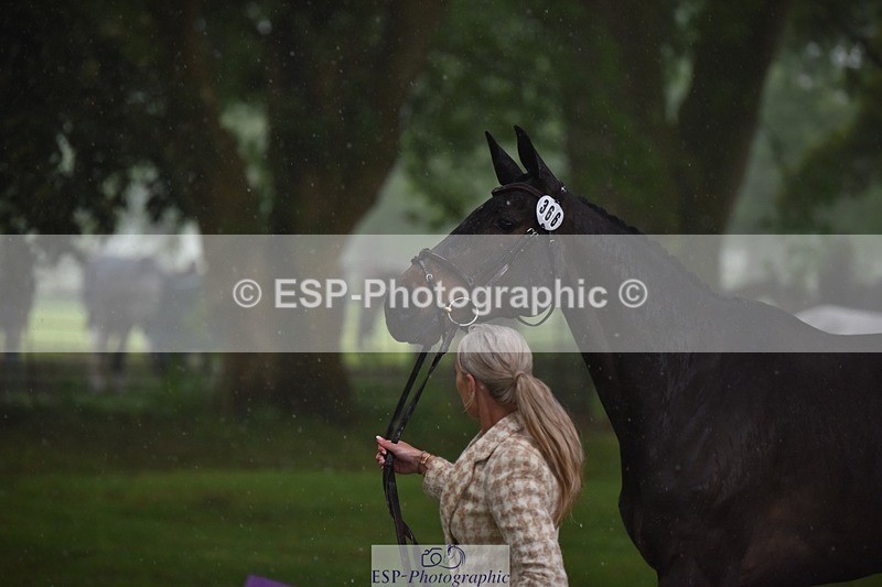 240522-151608-00215 - 366-GYPSIE_DU_LOIR-Yasmin_Ingham