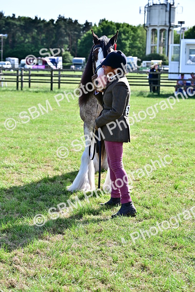 SBM_09507 - Class 63-65 - Traditional Gypsy Cobs In Hand & Ridden