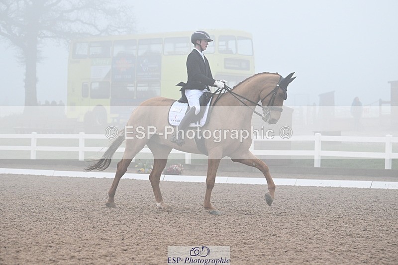 240217A-131412-02776 - 271-Tom.Carter-Rubin.Regal