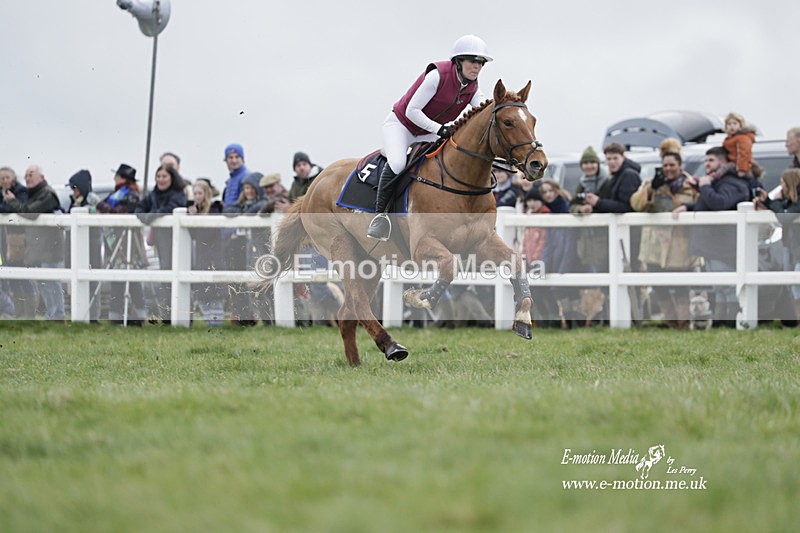 PtP 260323 0265 - New Forest Hounds Point-to-Point Larkhill 26/03/23