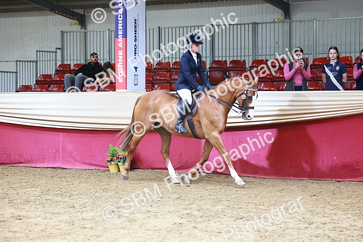 SBM_23699 - Class 905 - Supreme Final - Ridden Veteran