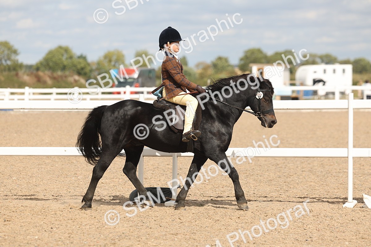 SBM_15869 - Class 310 - First Ridden Pony