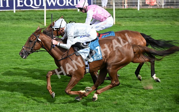 210825-186 Charlottes Web - Race 5 4.10pm British EBF & Sir Henry Cecil Galtres Stakes