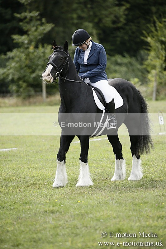 BVR080918 158 - BVRC Novice Dressage & CR 08/09/18