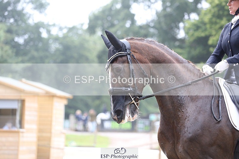 240720-142711-06183 - 136-Sophie_Port-Kingston_Z