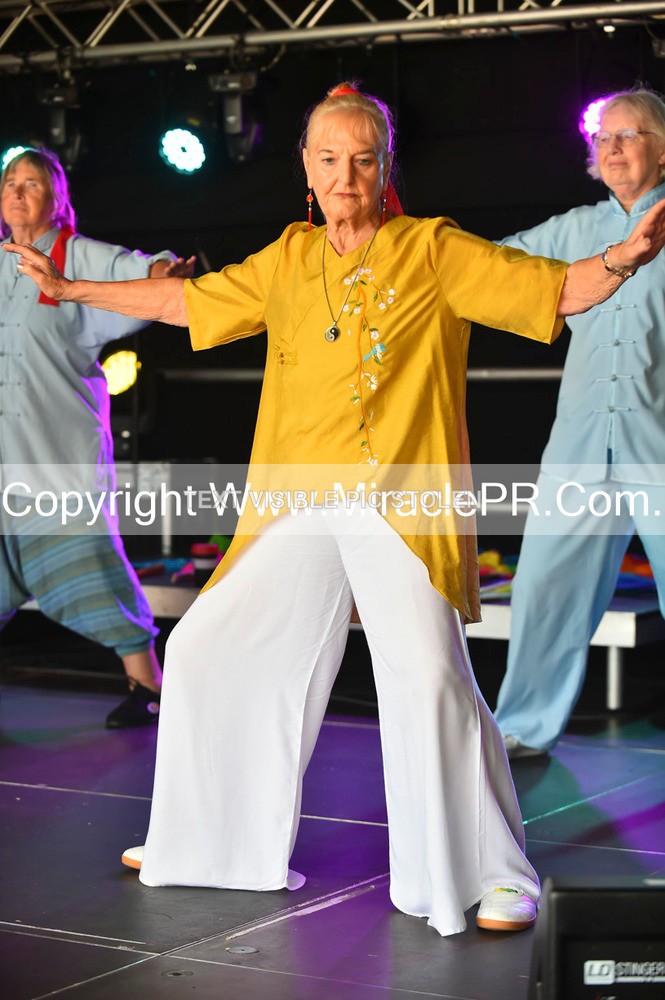 SH4_1357 - Tai Chi with Lisa Kay.