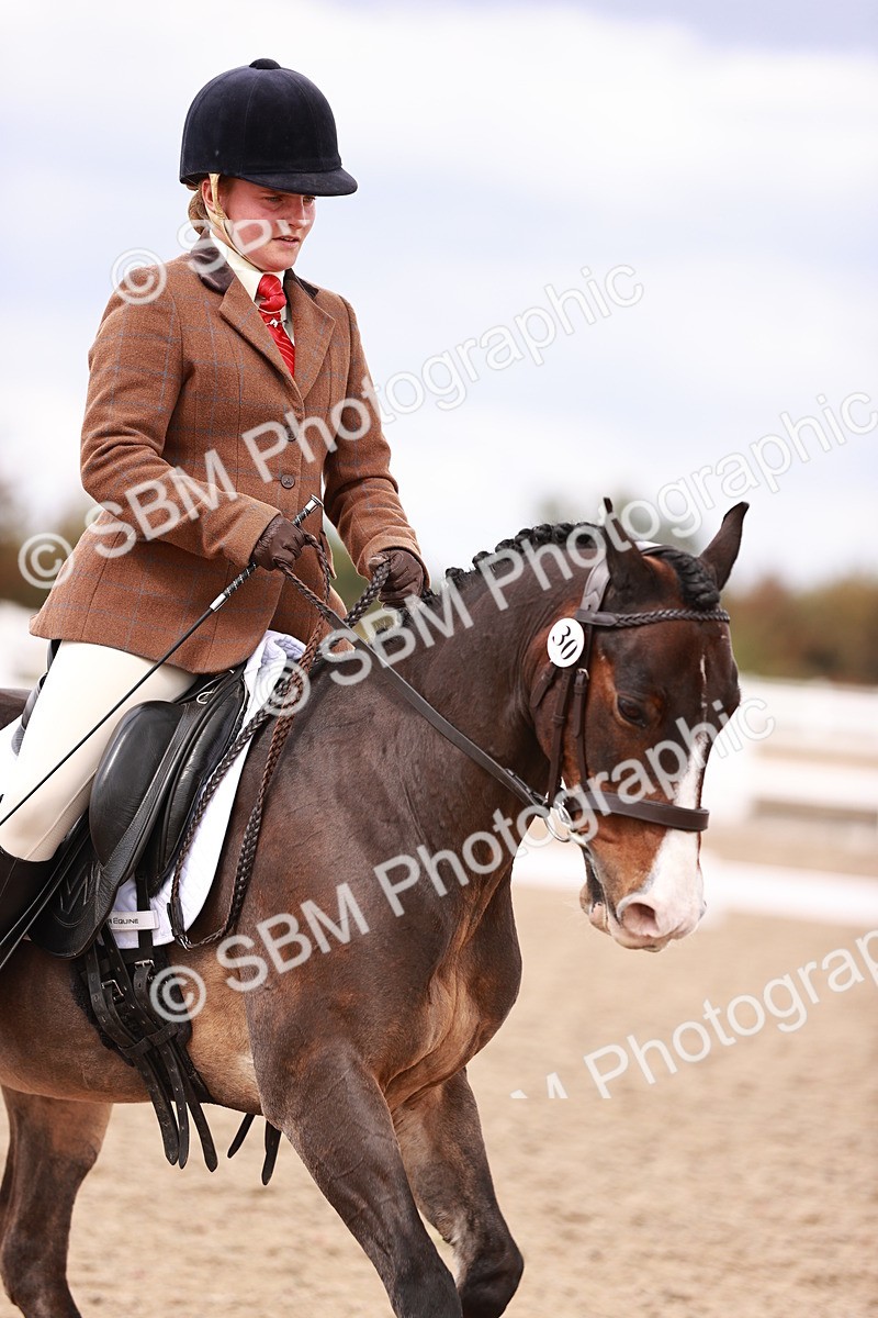 SBM_06246 - Class 37 - Novice 5