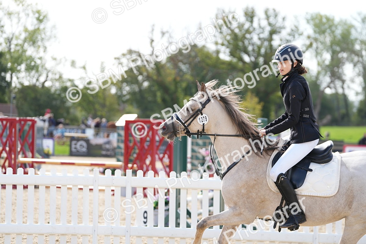 SBM_17856 - J58 - Clear Round 50cm