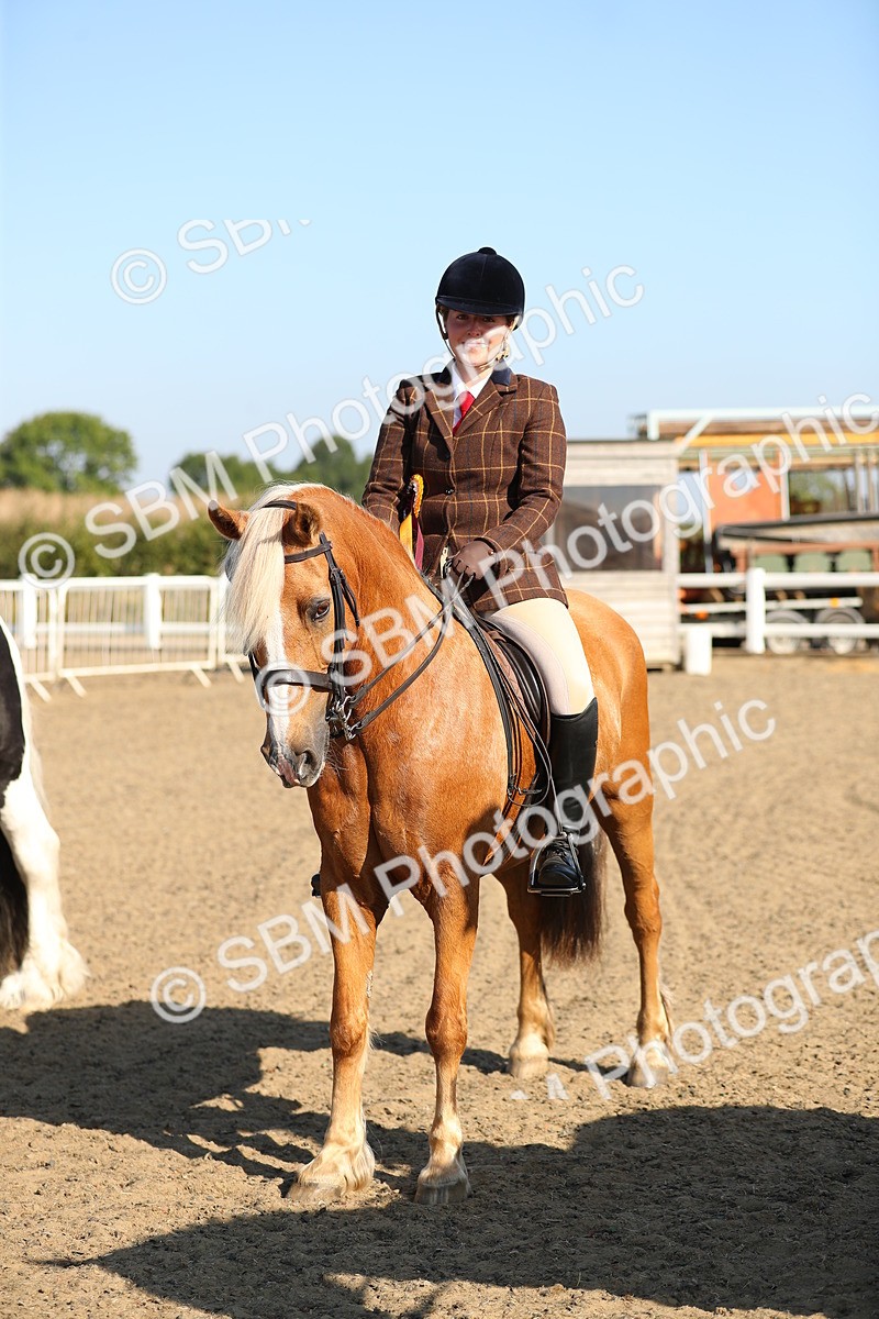 SBM_01241 - Class 42 Ridden Veteran