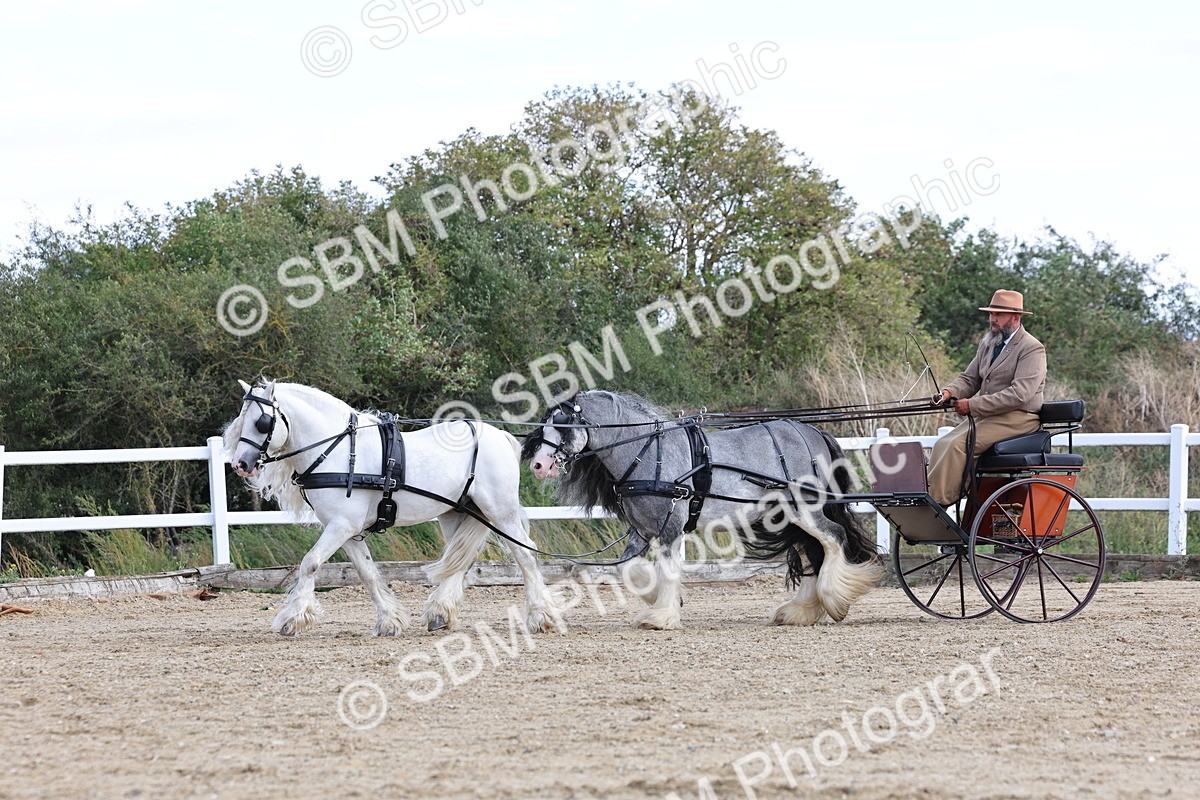 SBM_001181