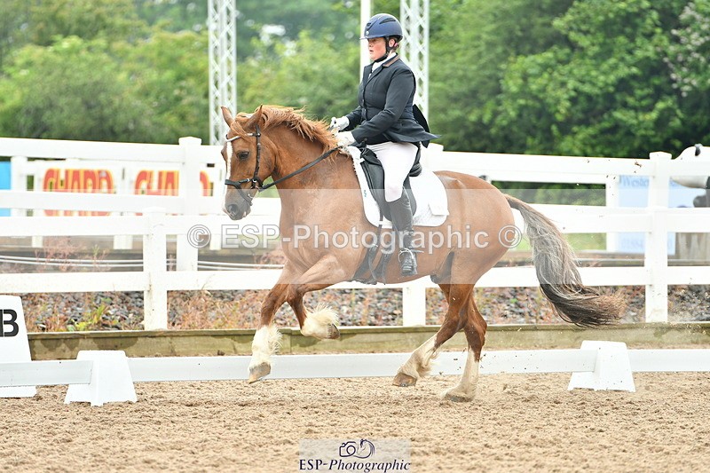 230708A-135427-02873 - Elementary 43