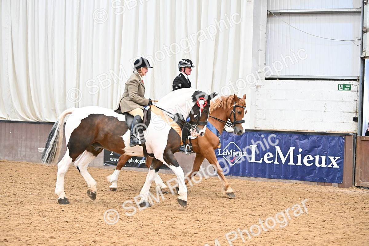 SBM_002782 - Ridden Showing Supreme Championships