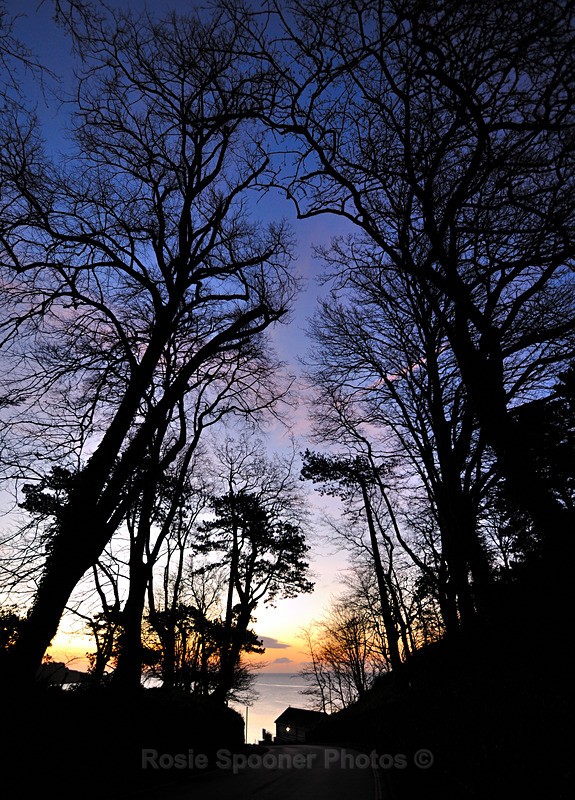 Approaching Meadfoot at sunrise - Portrait Views